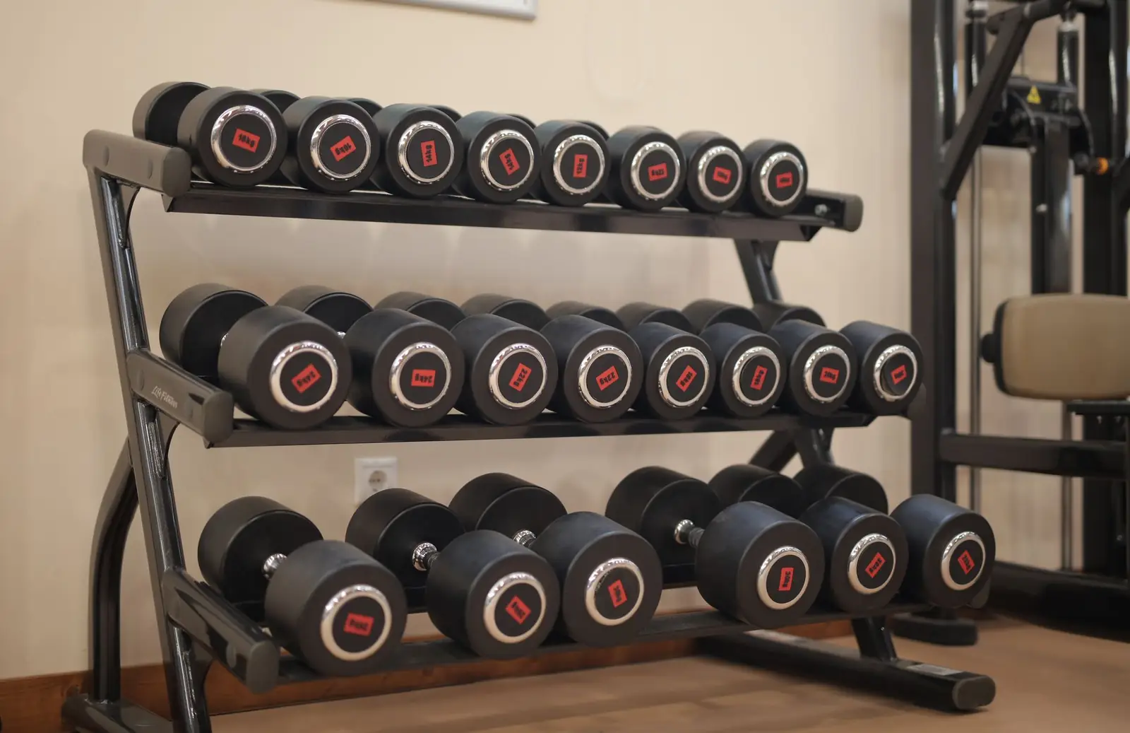 Fitness & Freizeit